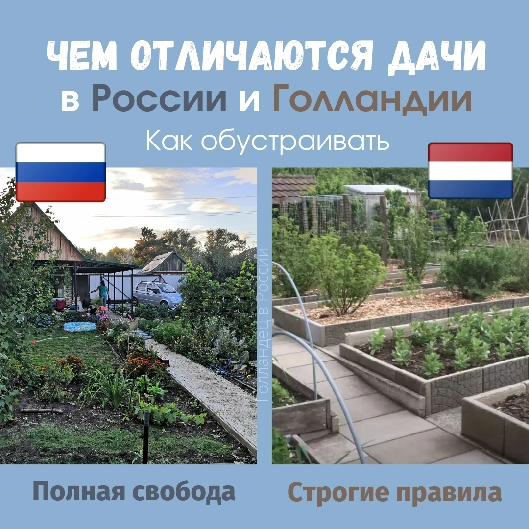 Поразительные отличия русских и голландских дач. В России дача - это .