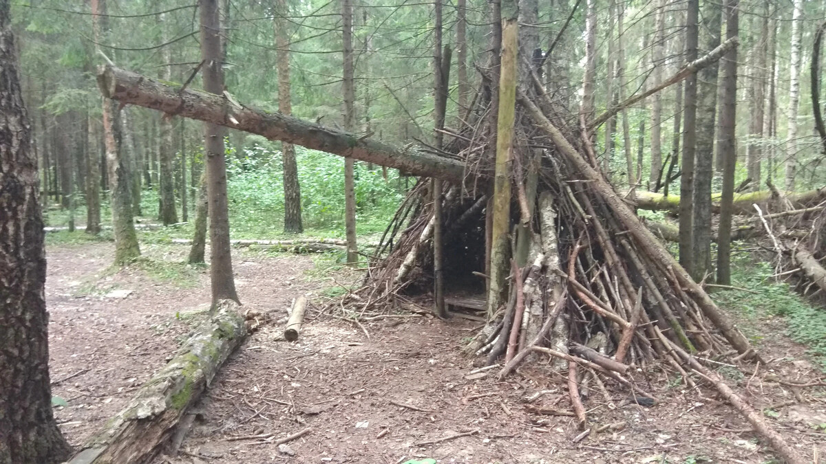 Фото шалашей в лесу