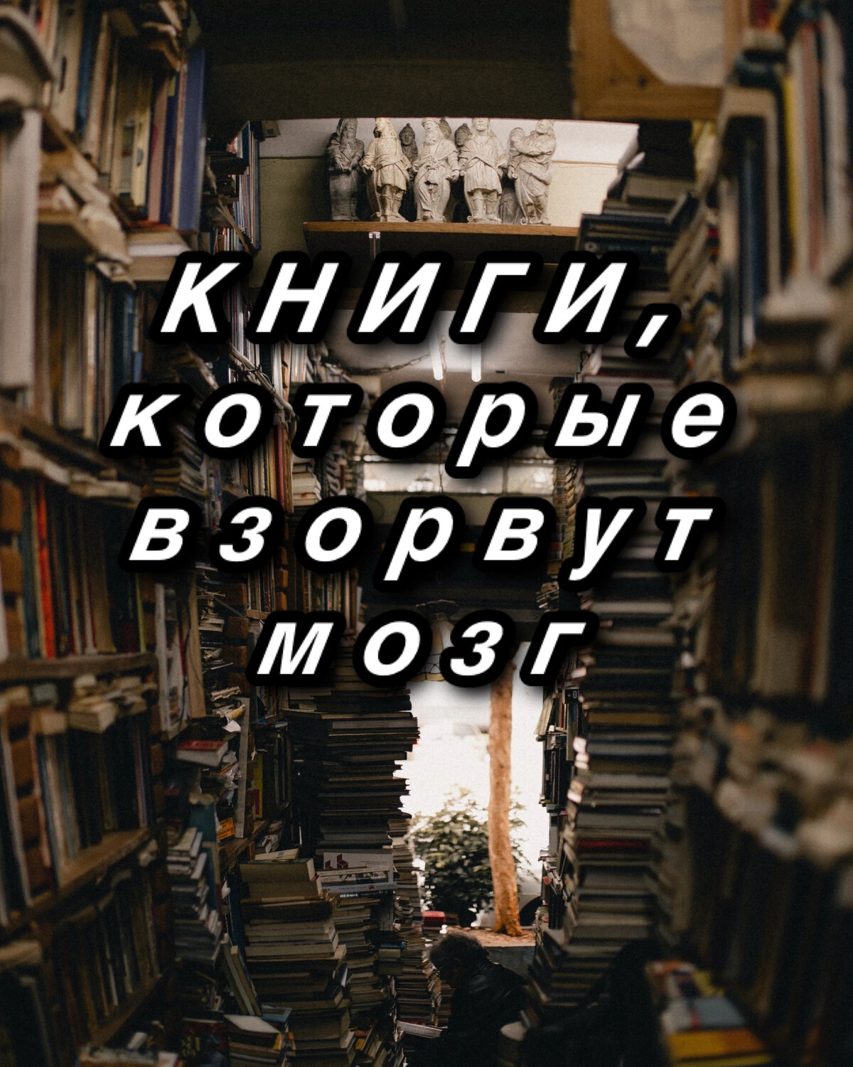 книги от которых не оторваться с первых. алмонд д. книги не оторваться с первых строк. книги не оторваться с первых строк. книги которые невозможно оторваться.