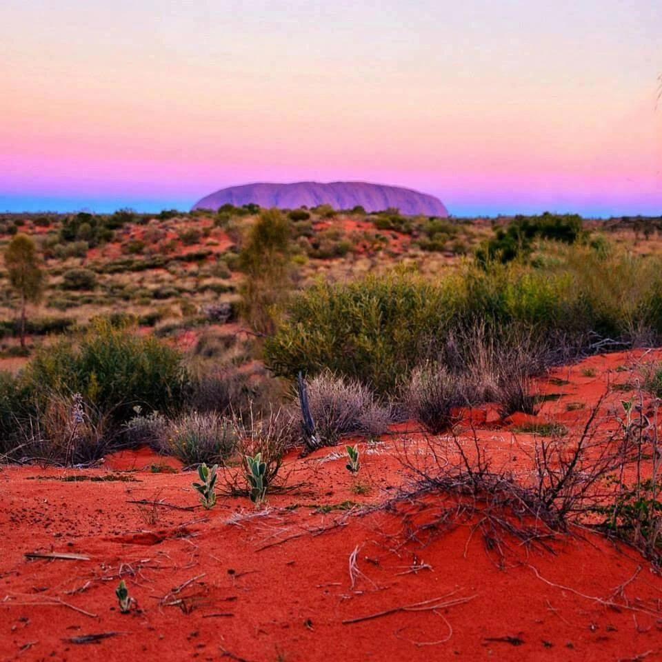 Victoria desert. Пустыня Виктория Улуру. Аутбэк Австралия. Красные ферраллитные почвы Австралии. Пустыня Виктория в Австралии.