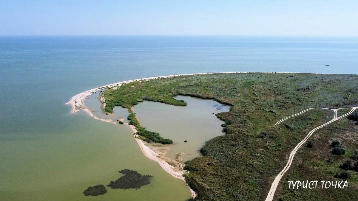 Море км. Заповедник Беглицкая коса. Беглицкая коса Азовское море. Беглицкая коса пляж. Таганрог коса Песчаная.