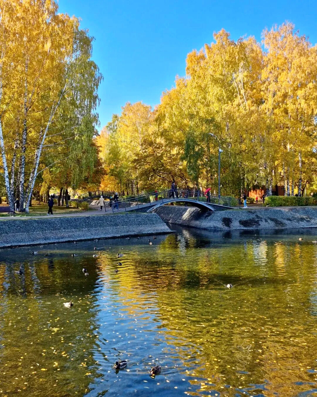 Парк урицкого в казани фото