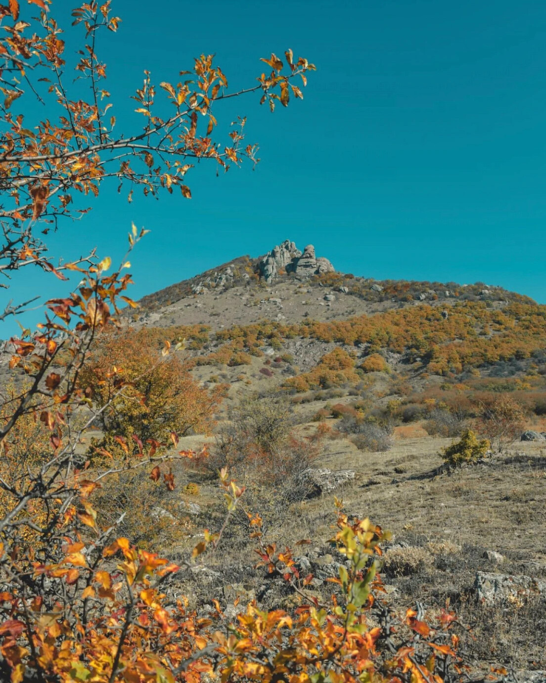 Осень в Крыму дзен