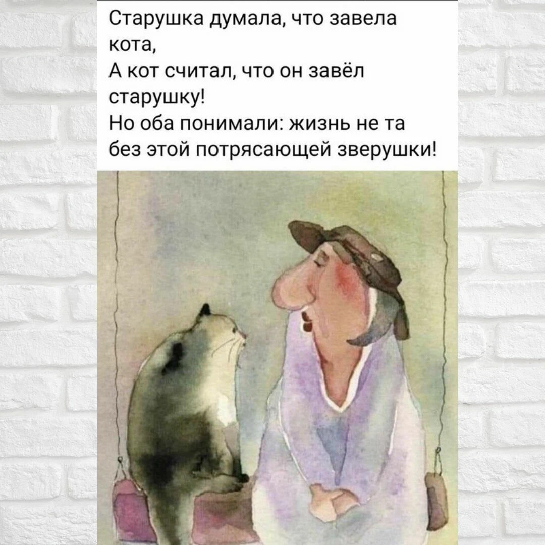 Оба поняли. Старушка завела кота. Привет старушка.