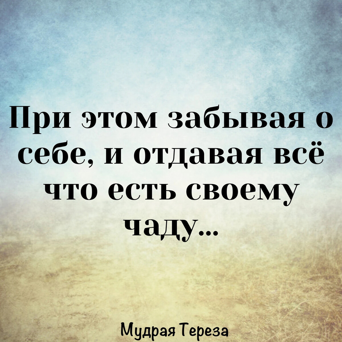 Зная кто вы на самом деле. Мудр не тот кто знает многое а тот кто знает нужное. Читаю ваши статусы. Цитаты. Мудр не тот кто много знает.
