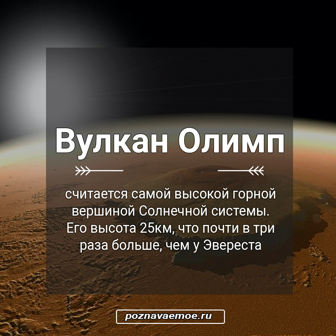 Олимп считать. Олимп считать