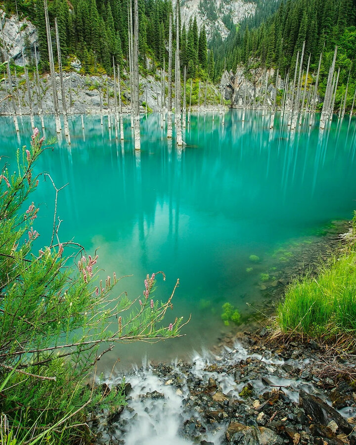 Озеро уровень 5. Озеро Каинды. Затонувший лес озера Каинды Казахстан. Голубые озёра Кабардино-Балкария. Мертвое озеро.