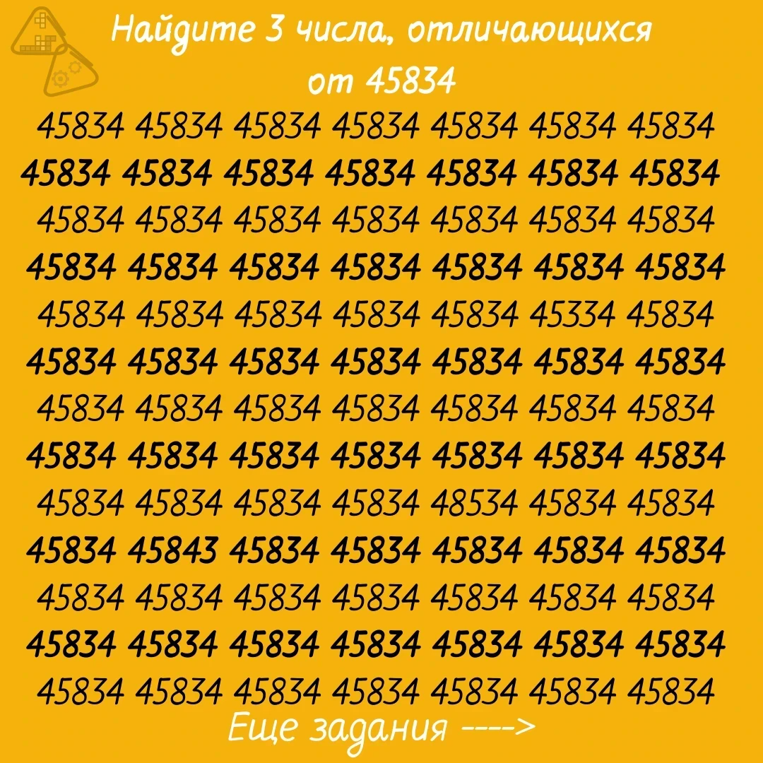 Номер и число разница. Номер и число разница