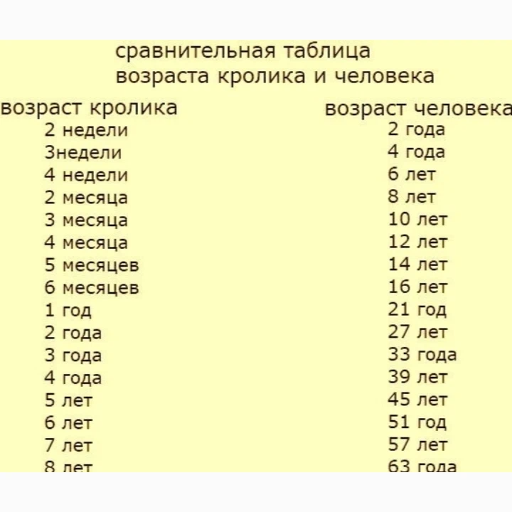 Таблица жизни. Сколько лет кролику по человеческим меркам. Возраст декоративного кролика по человеческим меркам. Возраст кролика по человеческим меркам таблица декоративного. Сколько лет кролику по человеческим меркам таблица.