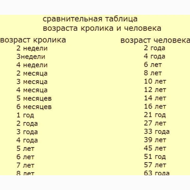 Какого года человек если ему 19. Как у кроликов считается Возраст. Возрастная таблица для кроликов. Сколько лет кролику по человеческим меркам. Сколько лет кролику по человеческим меркам таблица.