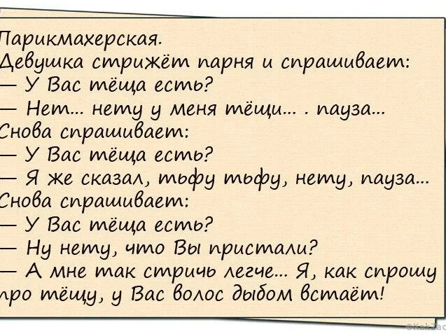 Анекдот про тещу и зятя на кухне