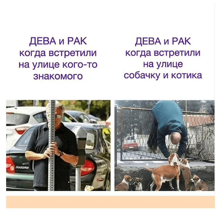 Смешные мемы про онкологию Знаки Зодиака Дзен