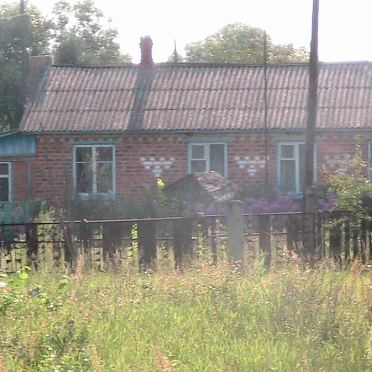 Соловьевка. Климовский район село Соловьевка. Село Соловьевка Климовского района Брянской области. Климовский район Брянская область. Деревни Климовского района Брянской области.