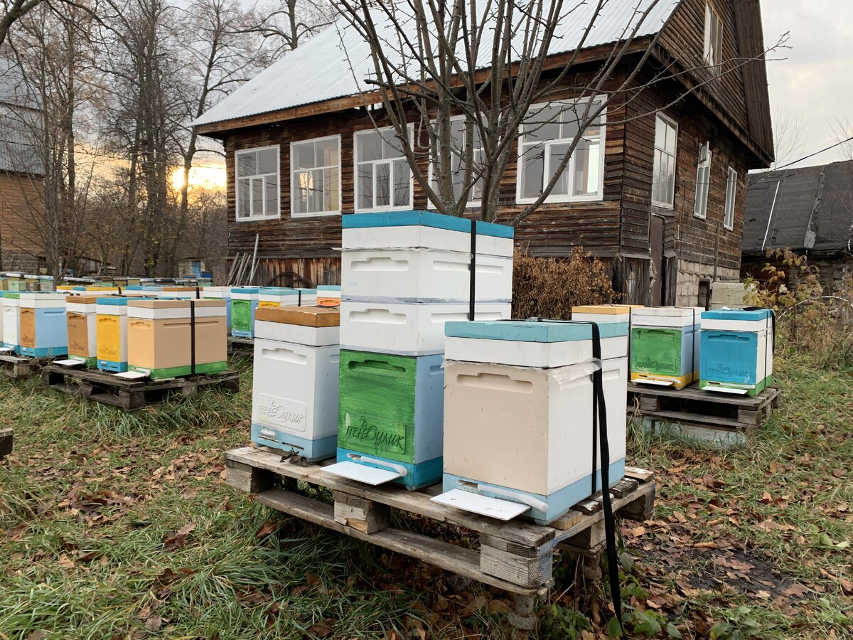 Пчеловод с корпусом. Ники связанные с ульем ютуб. Мария пасека. Нуримановский район пасека. Пасека дмитриевых.