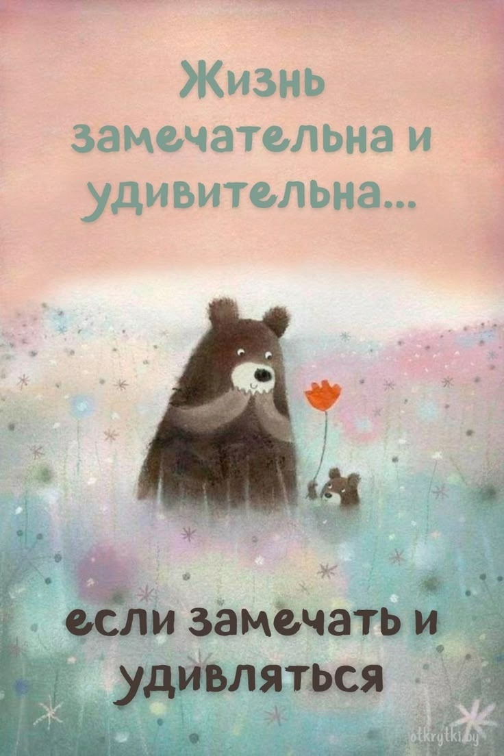 Картинка комментария