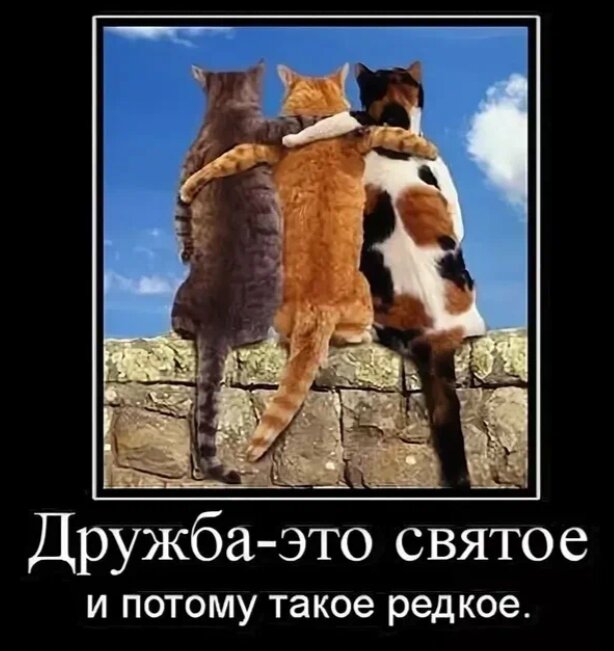 Картинка комментария