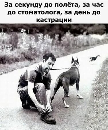 Картинка комментария