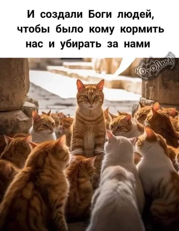 Картинка комментария