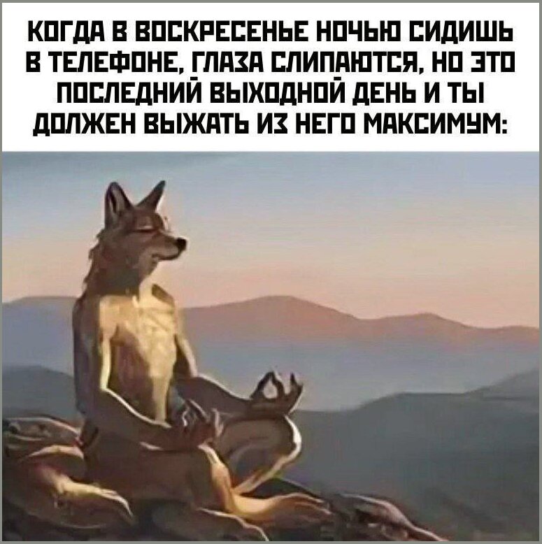 scale_1200