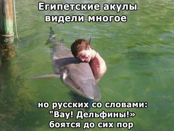 Картинка комментария