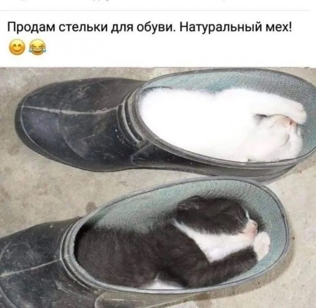 Картинка комментария