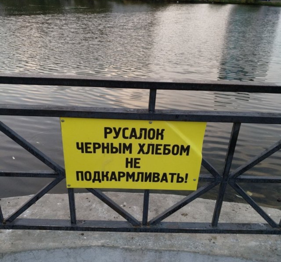 Картинка комментария