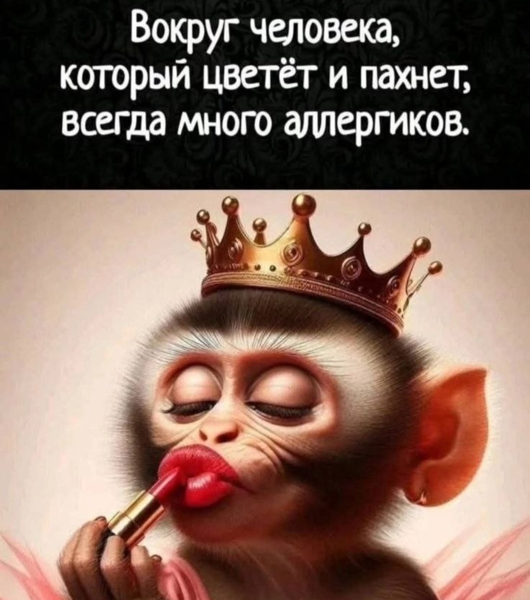 Картинка комментария