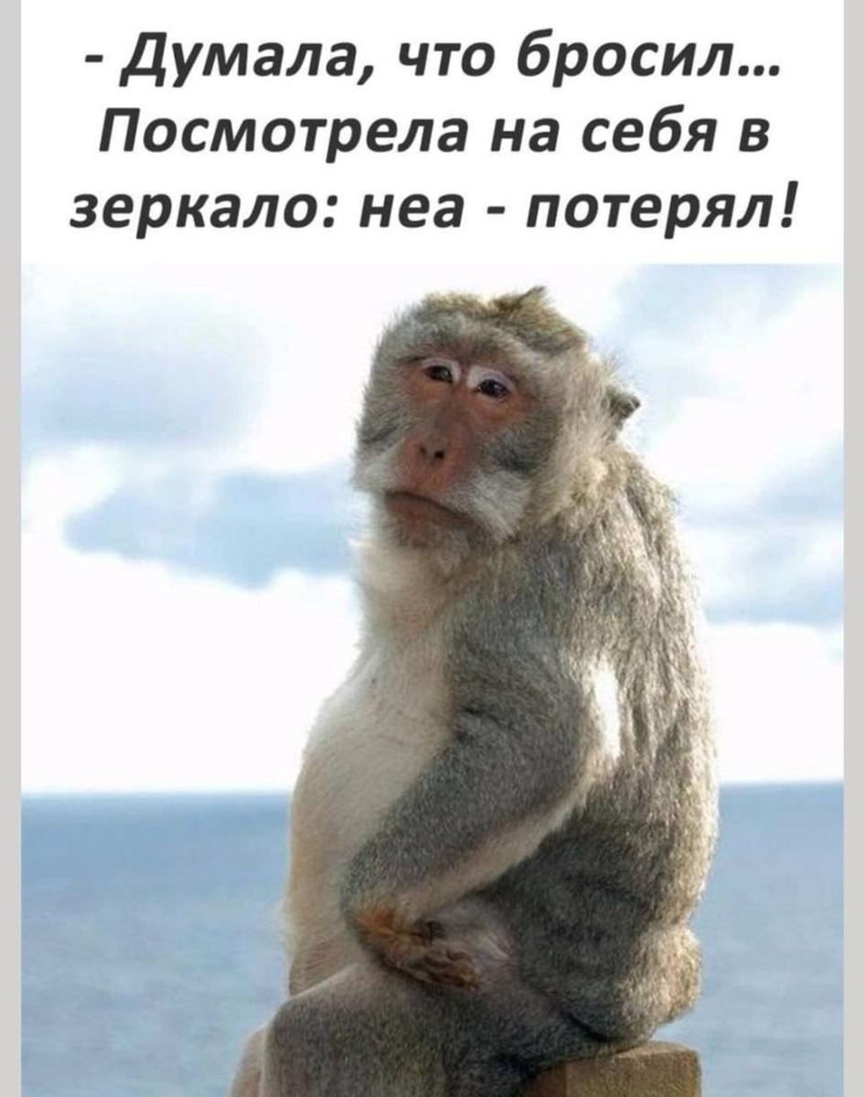 Картинка комментария