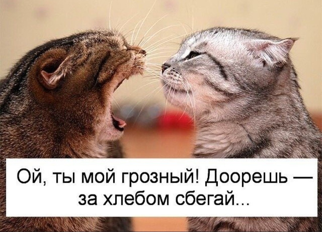 Картинка комментария