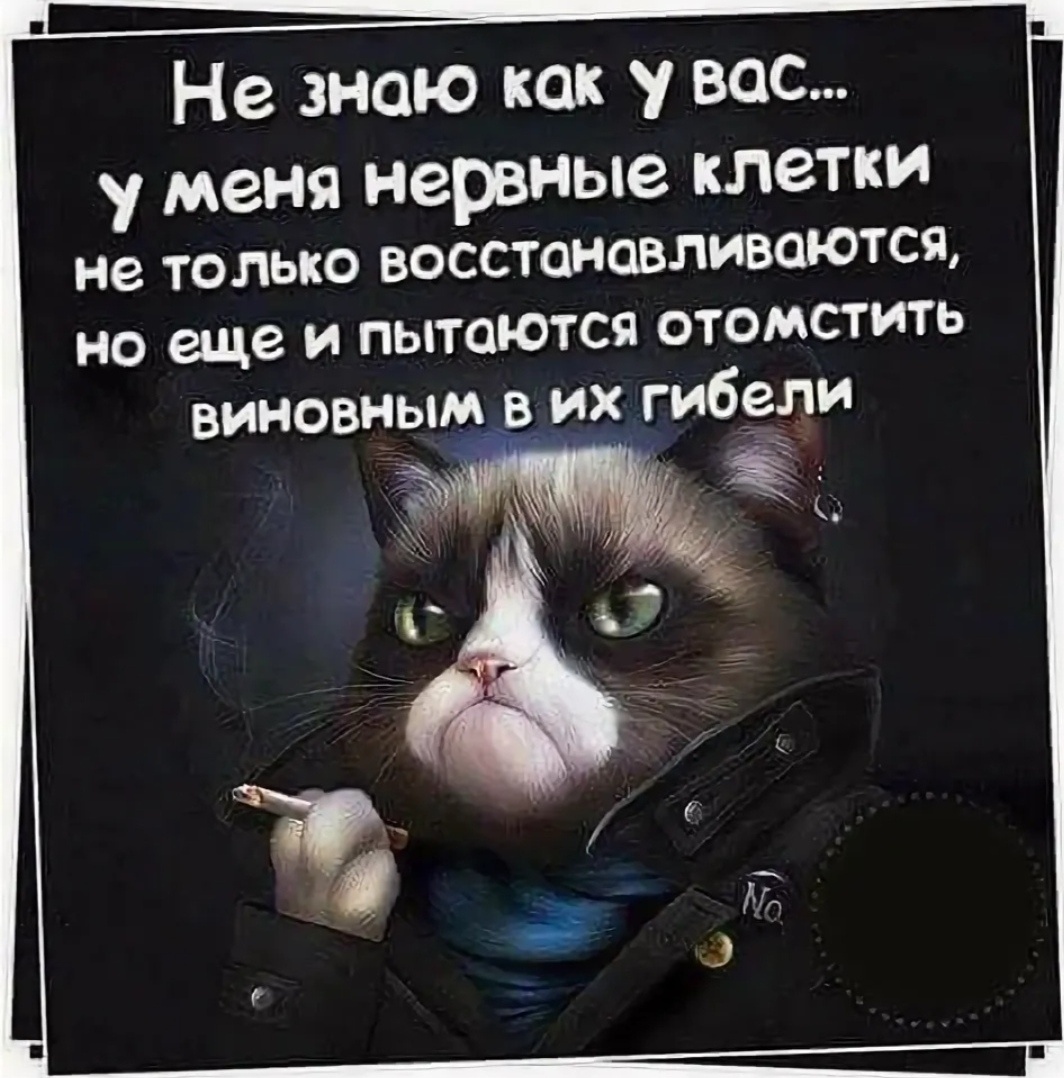 Картинка комментария