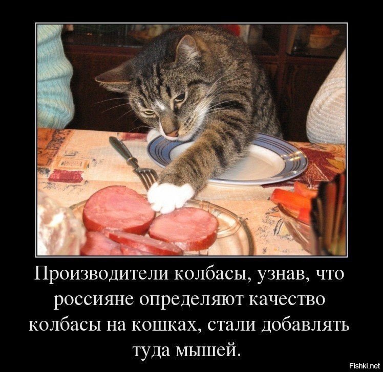 �������� �����������