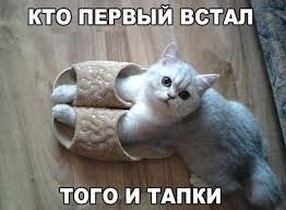 �������� �����������