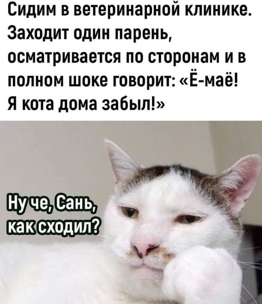 Картинка комментария