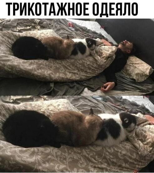 Картинка комментария