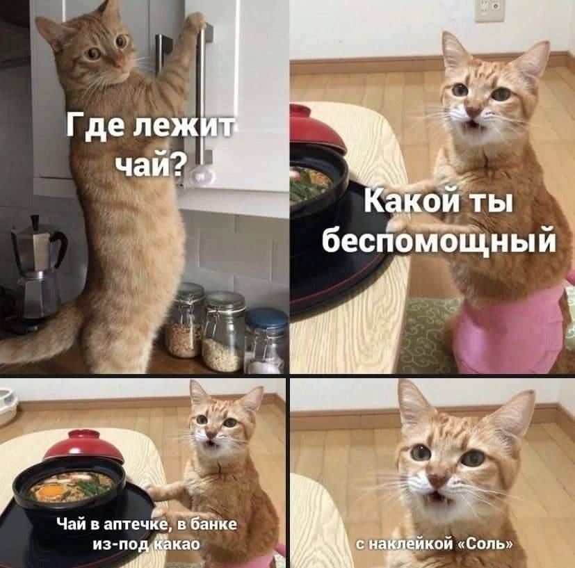 https://avatars.dzeninfra.ru/get-zen_pictures/271828/1416741551-1745462043946/scale_1200