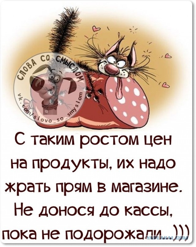 Картинка комментария