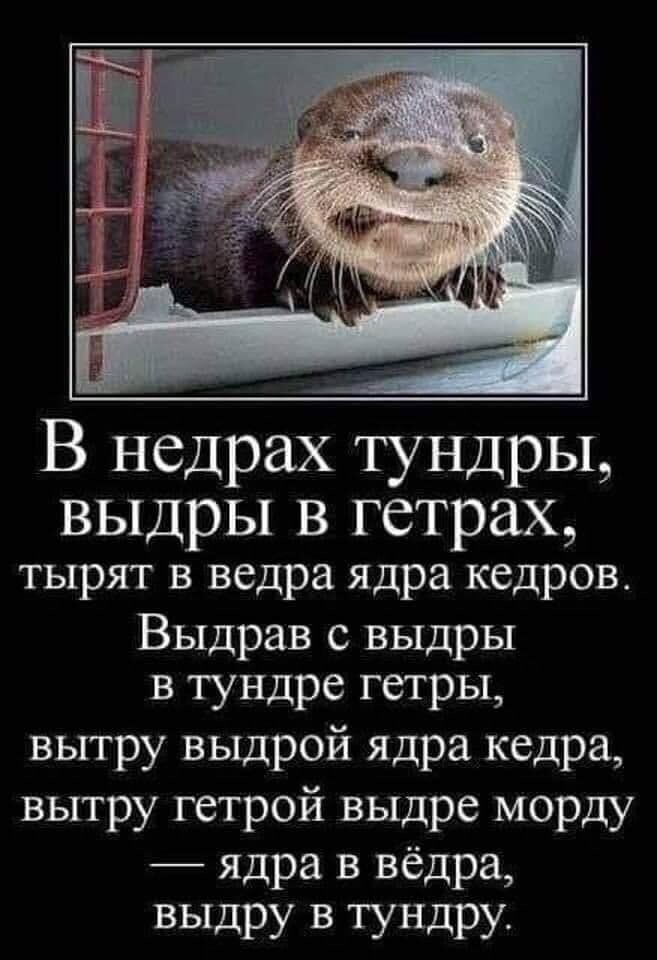 Картинка комментария