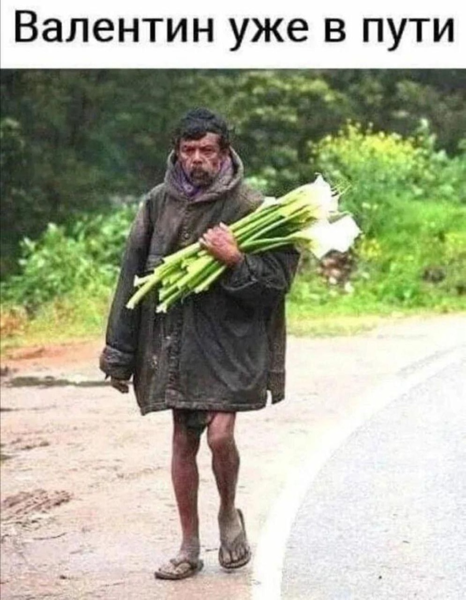 �������� �����������