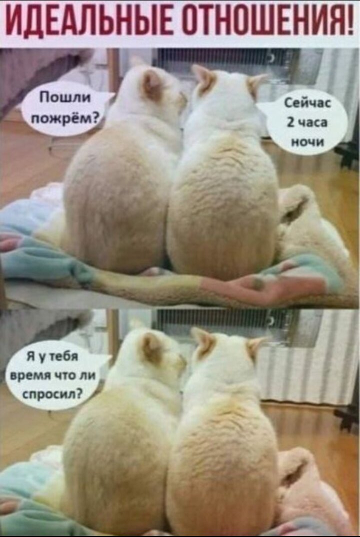 Картинка комментария
