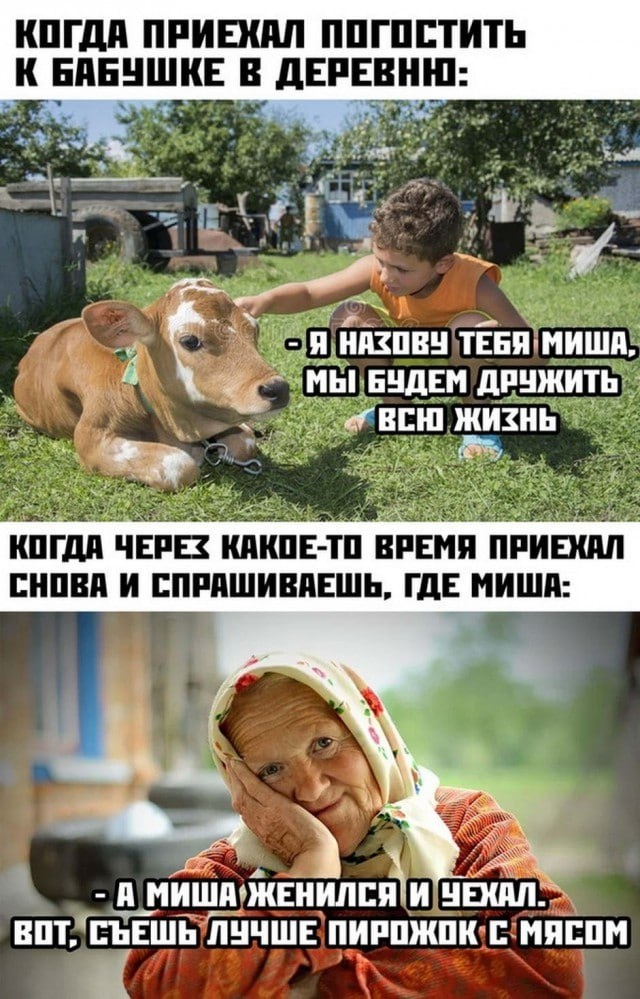https://avatars.dzeninfra.ru/get-zen_pictures/271828/567139403-1756101077532/scale_1200