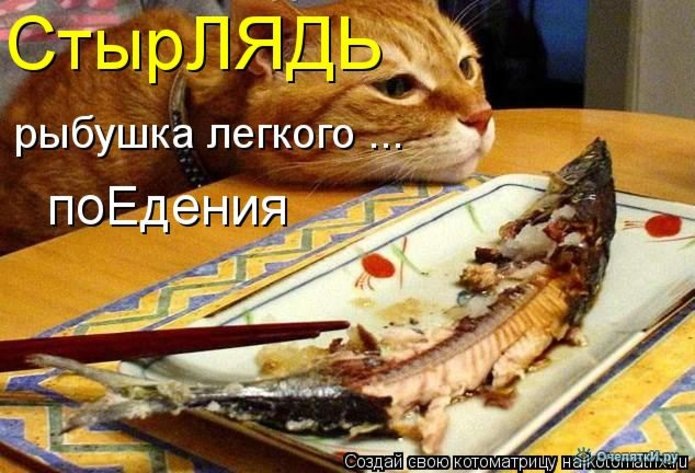 Картинка комментария