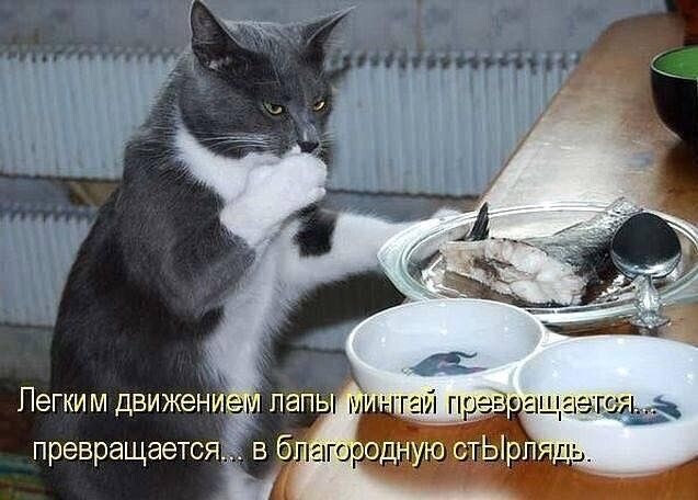 Картинка комментария