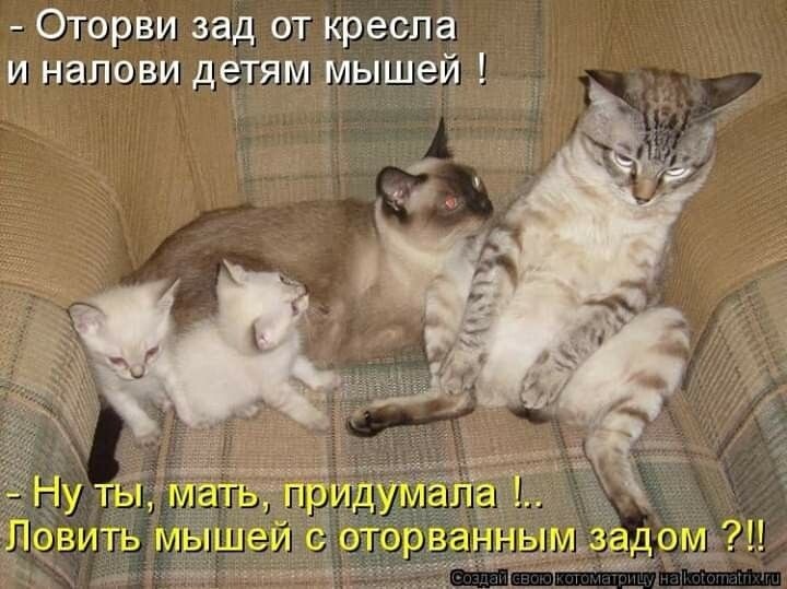 Картинка комментария