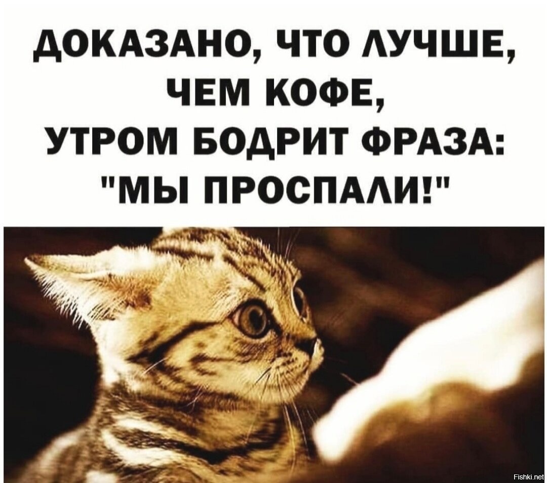 Картинка комментария