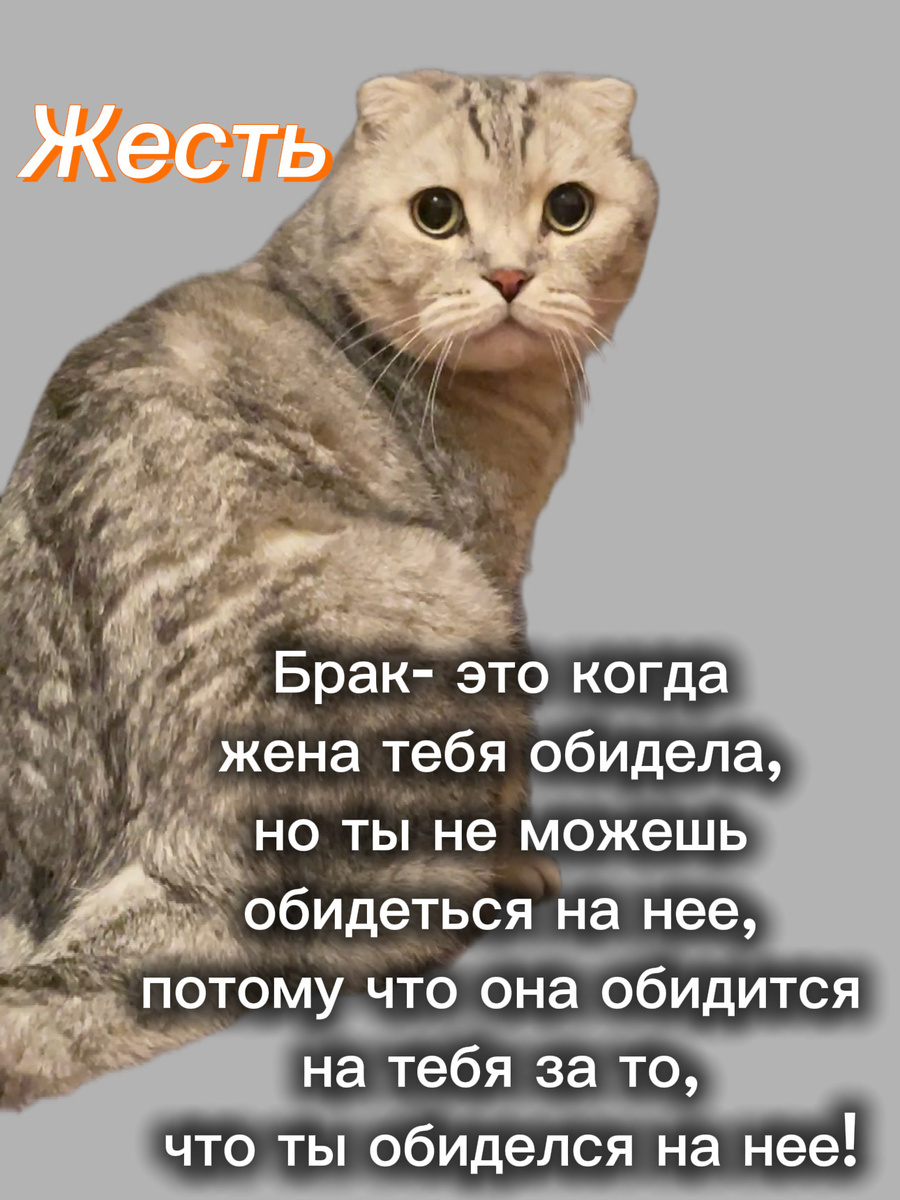 Картинка комментария