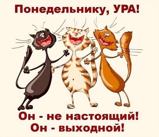 Картинка комментария