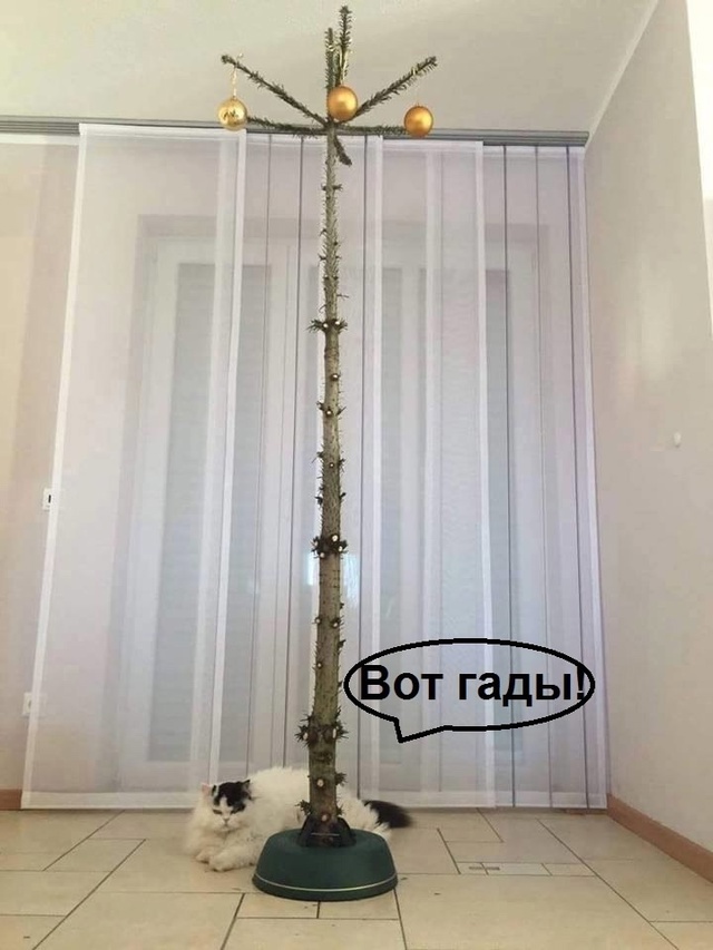 Картинка комментария