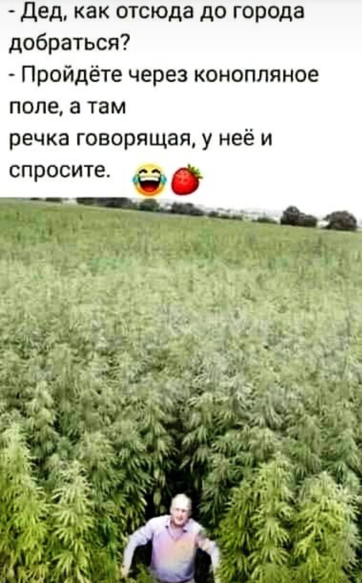Картинка комментария