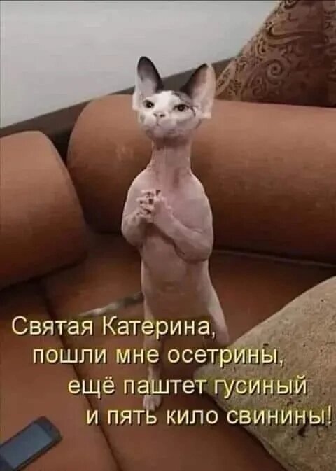 Картинка комментария