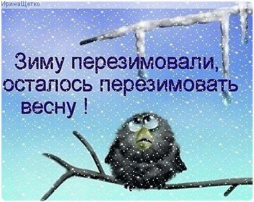 Картинка комментария
